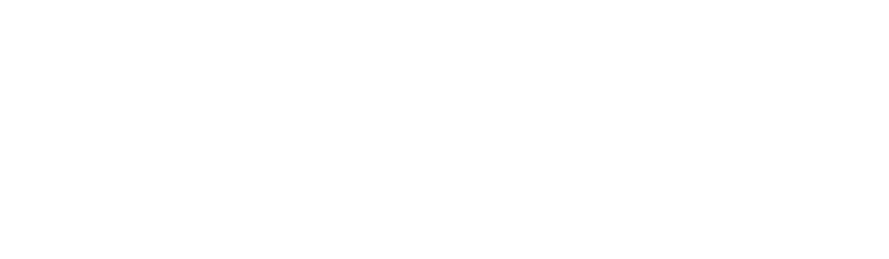 Borner BPO Es